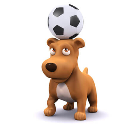 Hund mit Ball auf dem Kopf